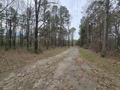Country Acreage & Shop - Adjoining National Forest Area - image 9