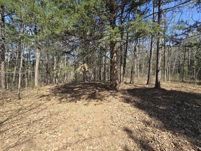 Country Acreage & Shop - Adjoining National Forest Area - image 32
