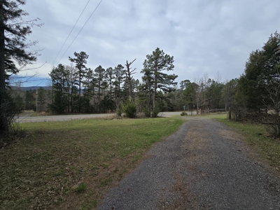 Country Acreage & Shop - Adjoining National Forest Area - image 11