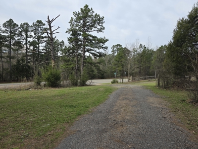 Country Acreage & Shop - Adjoining National Forest Area - image 10