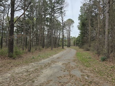 Country Acreage & Shop - Adjoining National Forest Area - image 7
