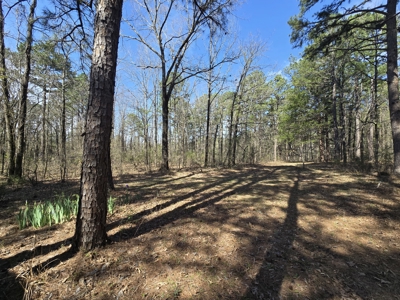 Country Acreage & Shop - Adjoining National Forest Area - image 30