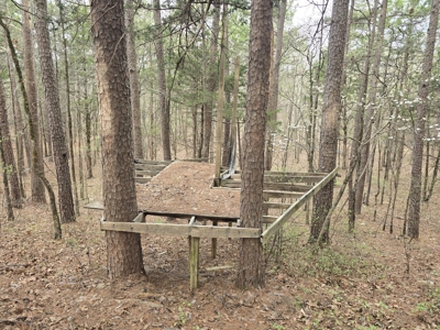 Country Acreage & Shop - Adjoining National Forest Area - image 25