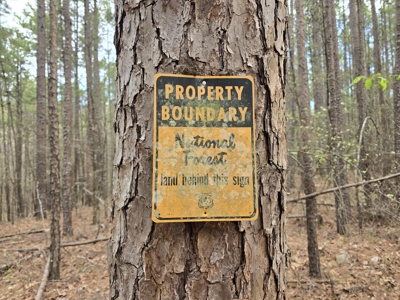 Country Acreage & Shop - Adjoining National Forest Area - image 13