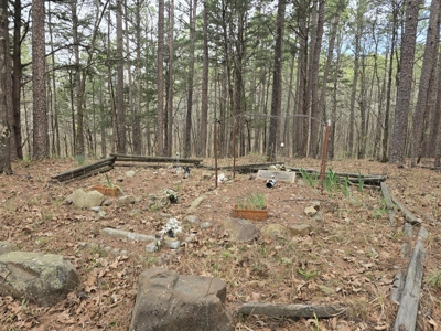 Country Acreage & Shop - Adjoining National Forest Area - image 24