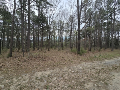 Country Acreage & Shop - Adjoining National Forest Area - image 8