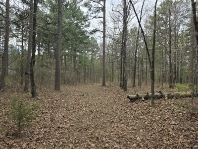 Country Acreage & Shop - Adjoining National Forest Area - image 27
