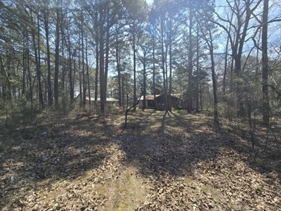 Country Acreage & Shop - Adjoining National Forest Area - image 31