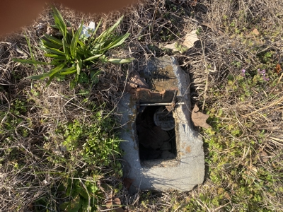 Unrestricted Land With No Restrictions, Timber Value, Fixer Upper - image 32