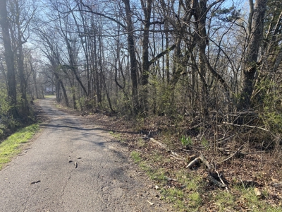 Unrestricted Land With No Restrictions, Timber Value, Fixer Upper - image 20