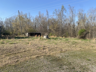 Unrestricted Land With No Restrictions, Timber Value, Fixer Upper - image 4