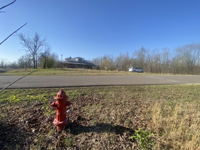 Unrestricted Land With No Restrictions, Timber Value, Fixer Upper - image 23