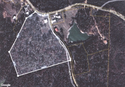 Unrestricted Land With No Restrictions, Timber Value, Fixer Upper - image 2