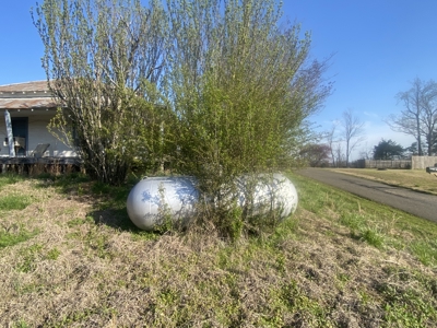 Unrestricted Land With No Restrictions, Timber Value, Fixer Upper - image 7