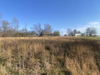 Unrestricted Land With No Restrictions, Timber Value, Fixer Upper - image 11