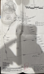 Unrestricted Land With No Restrictions, Timber Value, Fixer Upper - image 31
