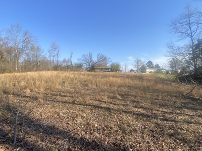 Unrestricted Land With No Restrictions, Timber Value, Fixer Upper - image 12
