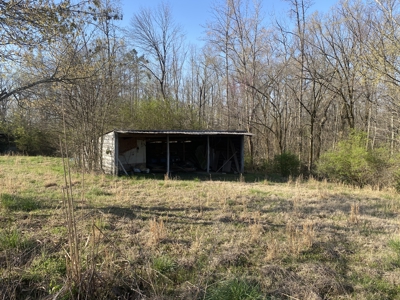 Unrestricted Land With No Restrictions, Timber Value, Fixer Upper - image 30