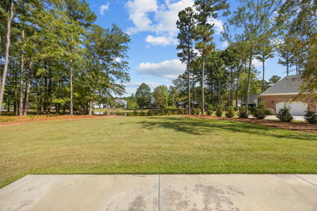 Custom Home with Lake Views in Cypress Landing - image 21