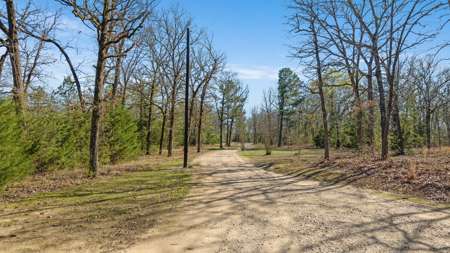 20 Acres, Farmhouse & Shop in Blossom TX - image 46