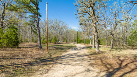 20 Acres, Farmhouse & Shop in Blossom TX - image 45