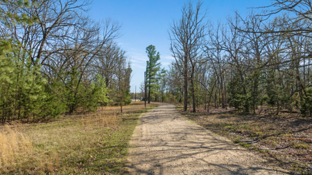 20 Acres, Farmhouse & Shop in Blossom TX - image 47