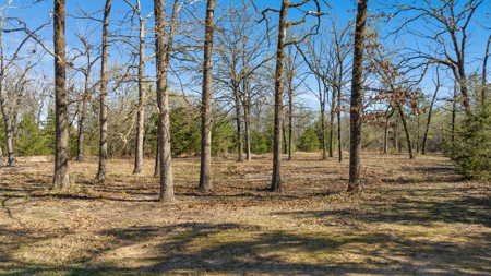 20 Acres, Farmhouse & Shop in Blossom TX - image 36