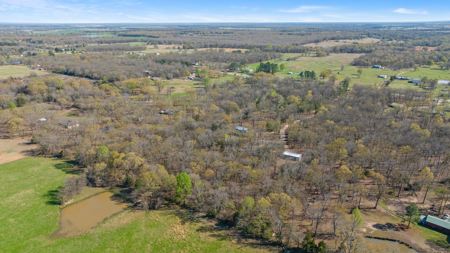 20 Acres, Farmhouse & Shop in Blossom TX - image 42