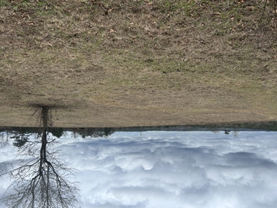 13.8 Acre - Mini Farm for Sale in Maplesville, AL. - image 42