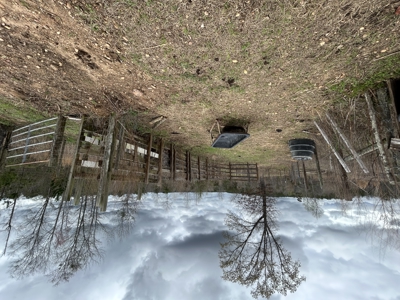 13.8 Acre - Mini Farm for Sale in Maplesville, AL. - image 26