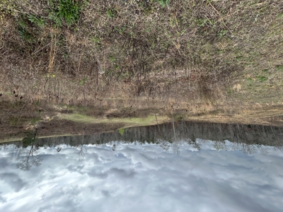 13.8 Acre - Mini Farm for Sale in Maplesville, AL. - image 9