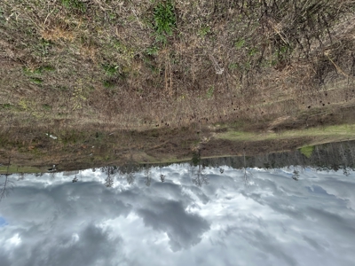 13.8 Acre - Mini Farm for Sale in Maplesville, AL. - image 11