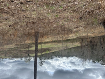 13.8 Acre - Mini Farm for Sale in Maplesville, AL. - image 14