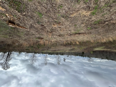 13.8 Acre - Mini Farm for Sale in Maplesville, AL. - image 6