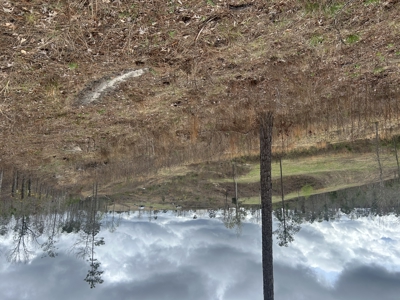 13.8 Acre - Mini Farm for Sale in Maplesville, AL. - image 13