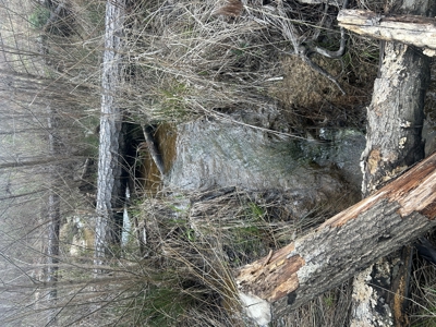 13.8 Acre - Mini Farm for Sale in Maplesville, AL. - image 22
