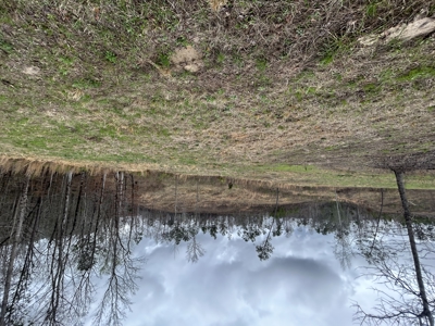 13.8 Acre - Mini Farm for Sale in Maplesville, AL. - image 19