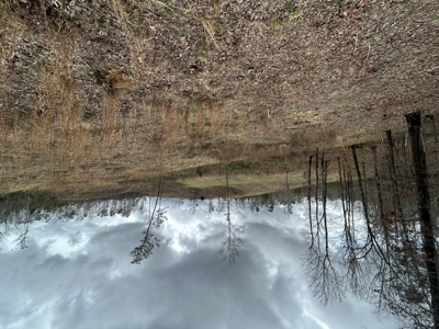 13.8 Acre - Mini Farm for Sale in Maplesville, AL. - image 15