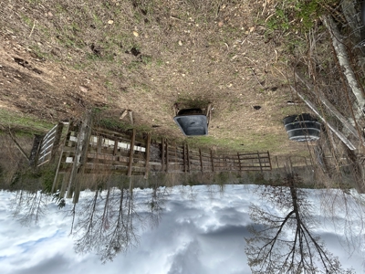 13.8 Acre - Mini Farm for Sale in Maplesville, AL. - image 28