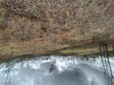 13.8 Acre - Mini Farm for Sale in Maplesville, AL. - image 16