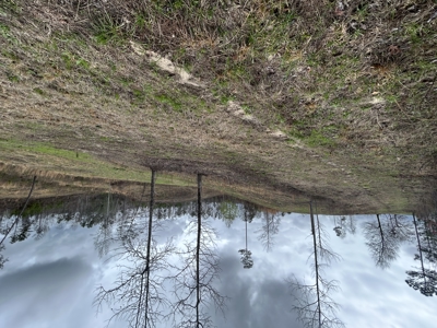 13.8 Acre - Mini Farm for Sale in Maplesville, AL. - image 21