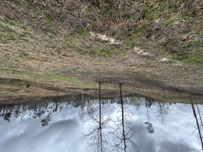 13.8 Acre - Mini Farm for Sale in Maplesville, AL. - image 20