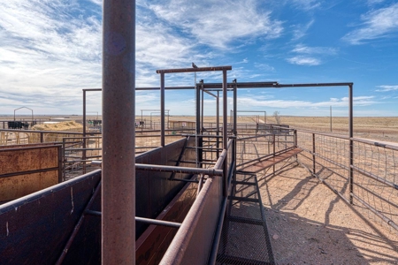 Moriarty New Mexico 610 Acre Ranch for Sale with Water Rights - image 39