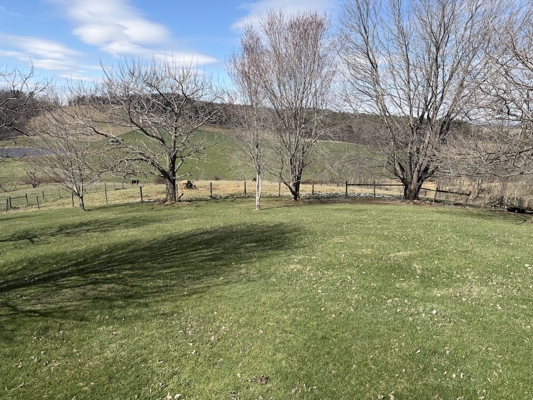 Brick Ranch for Sale in Indian Valley VA