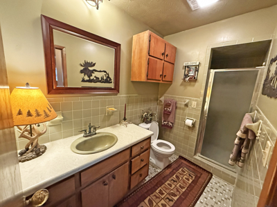 Lake Home For Sale In North Central Arkansas - image 21