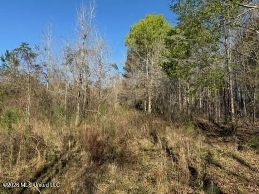 West Lincoln Investment Property Opportunity