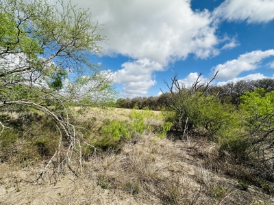 10.08 acres ready for your future homesite or dream build site... - image 2