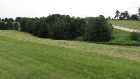 .6 Acre Lot with Golf Course Access in City of Viroqua - image 3