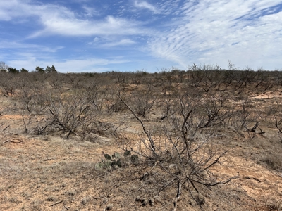 Recreational and Hunting Land for sale in Greer County Oklahoma - image 13