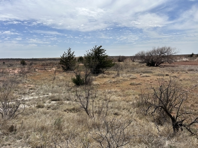 Recreational and Hunting Land for sale in Greer County Oklahoma - image 4